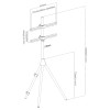Jolly Line DTM-3270 BEECH - Βάση Δαπέδου για Τηλεόραση LCD / LED / Plasma 32-70" Βάσεις TV Onetrade Jolly Line DTM-3270 BEECH - Βάση Δαπέδου για Τηλεόραση LCD / LED / Plasma 32-70" Βάσεις TV Onetrade